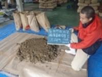 レポートNO.1の土を使っていますの写真