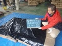シートをかけて出来上がり!