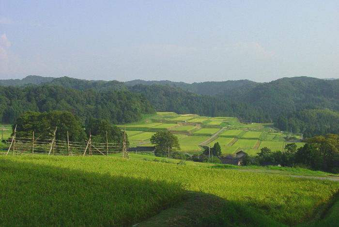 神子原地区の棚田風景