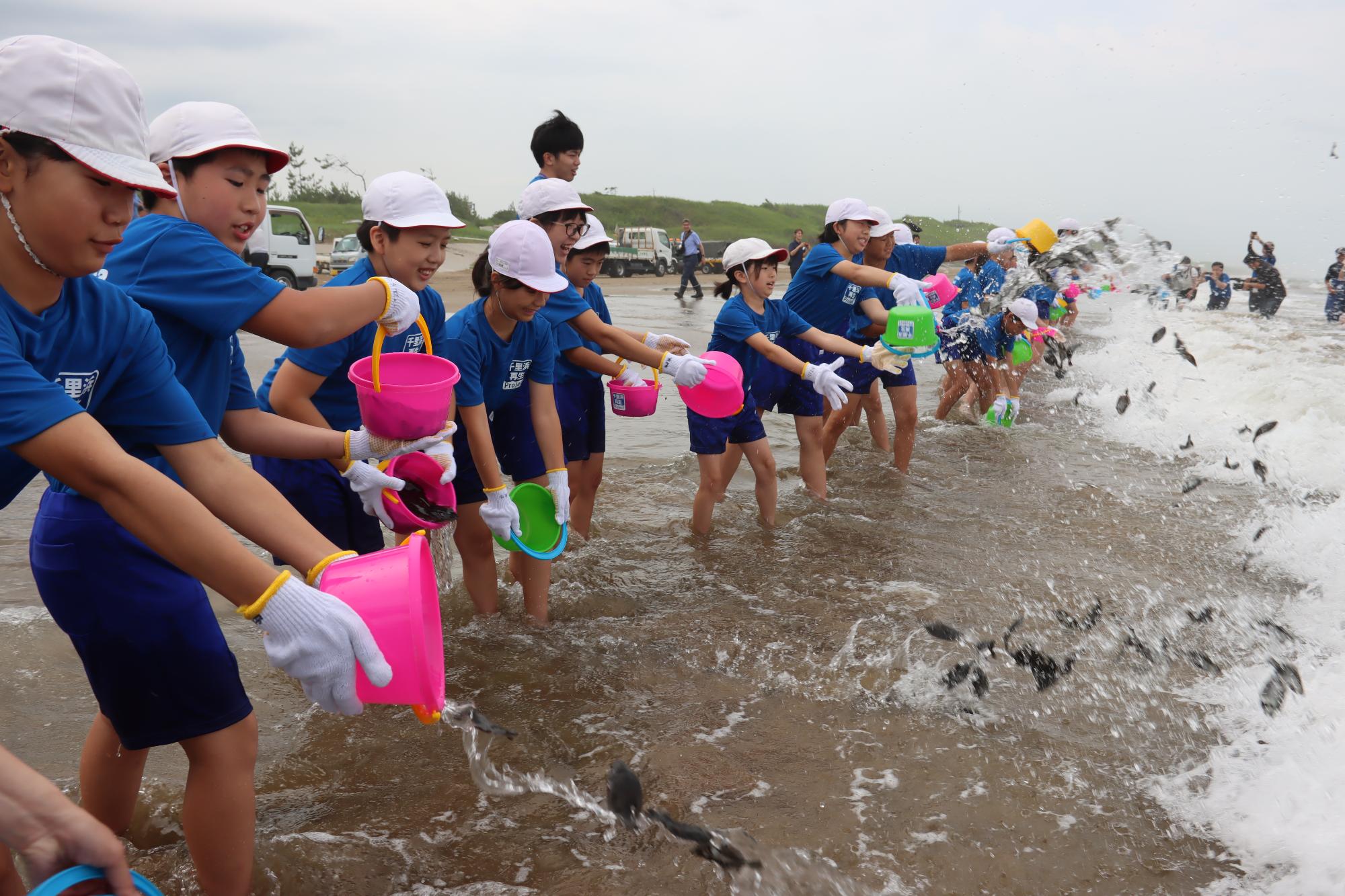 稚魚放流