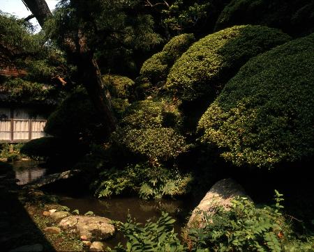 碧流寺庭園