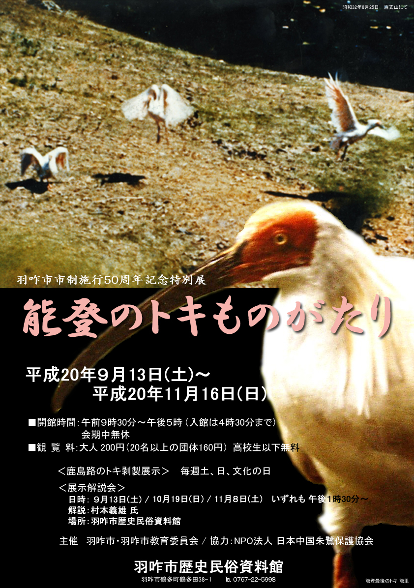 羽咋市市制施行50周年記念特別展 「能登のトキものがたり」チラシ