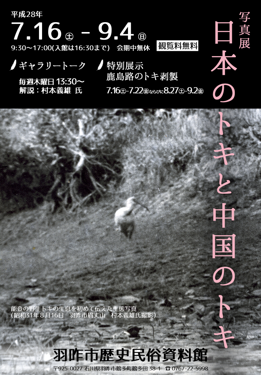 「日本のトキと中国のトキ」チラシ