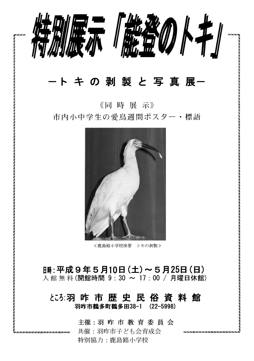 「特別展示「能登のトキ」－トキの剥製と写真展－」チラシ