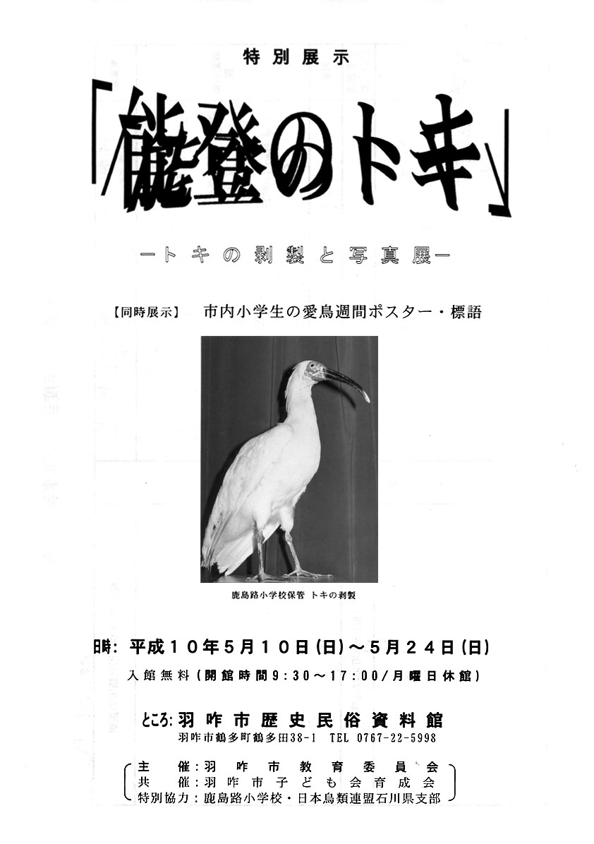 「特別展示「能登のトキ」－トキの剥製と写真展－」チラシ
