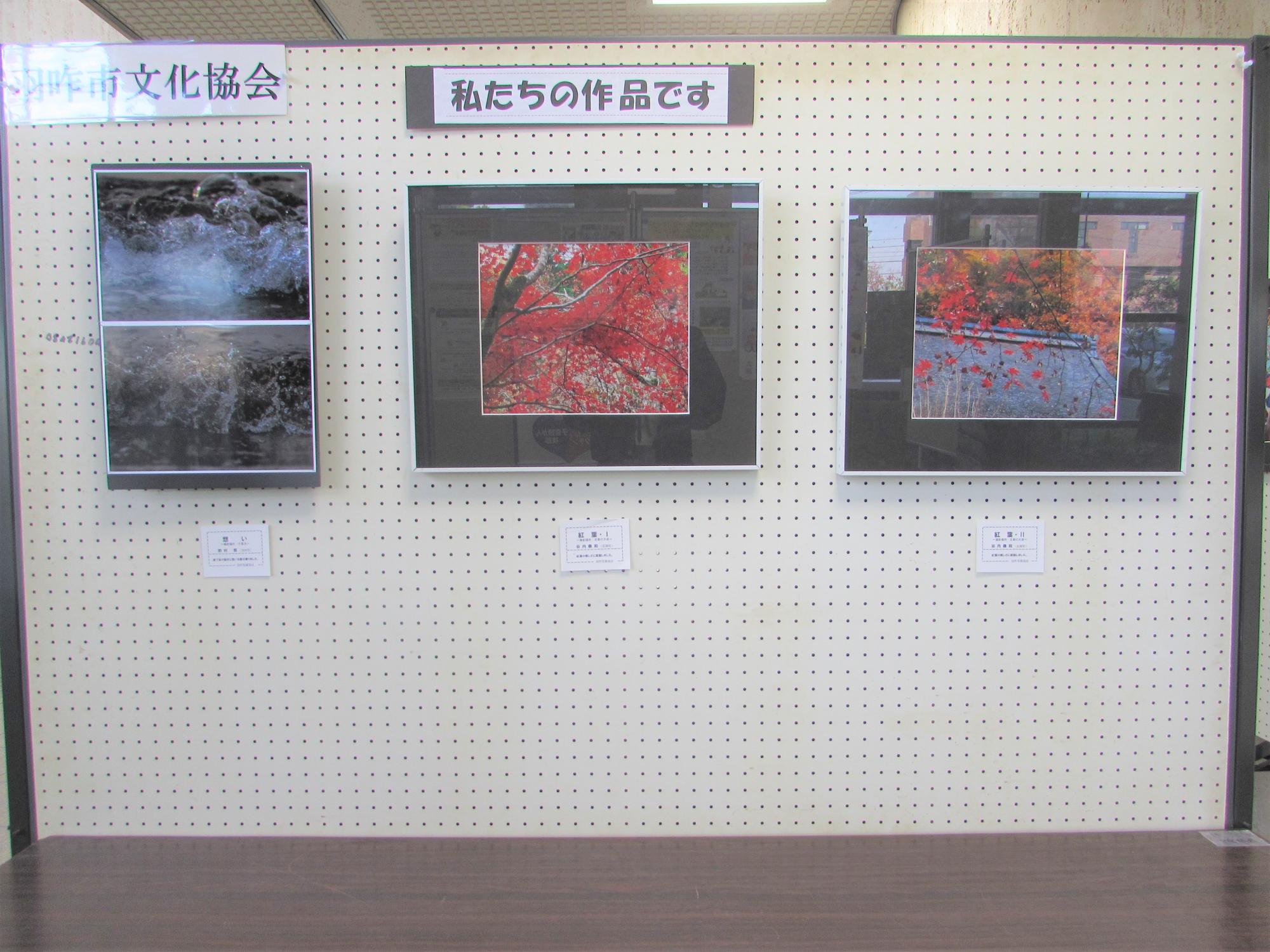 写真協会