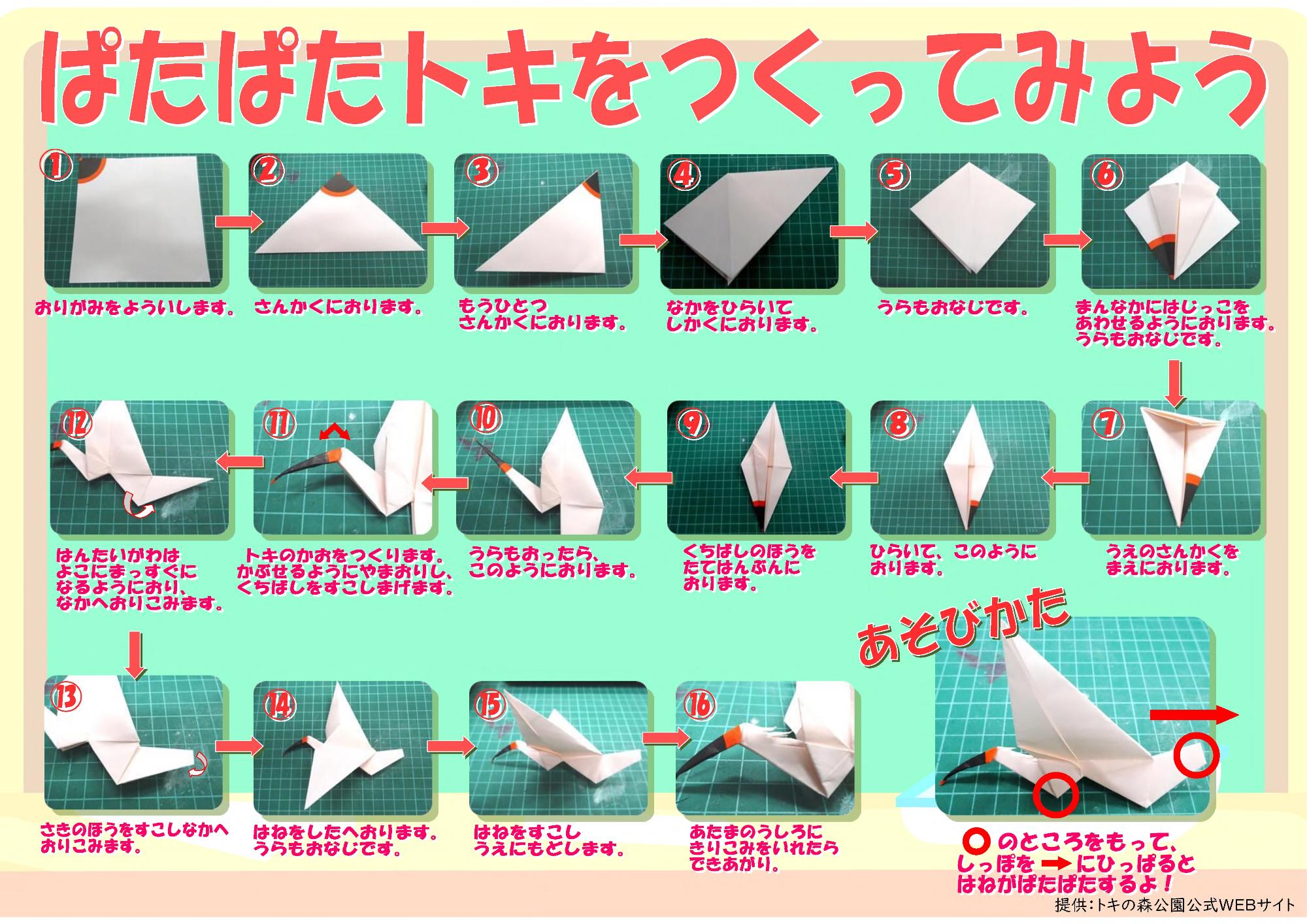 ぱたぱたトキ折り方