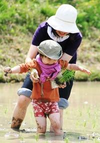 お尻がついても平気だよ（棚田オーナー田植え式）より