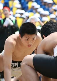 【表紙の写真】みんなの声援がボクノ力に（羽咋郡市中学校相撲大会）