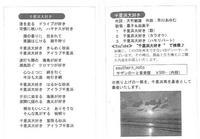 CD“千里浜大好き”インフォメーションの写真