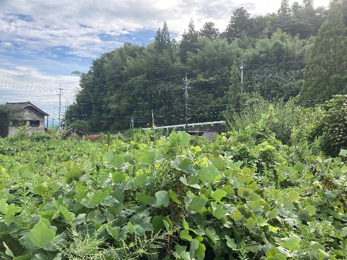  住所： 〒 925-0012 千路町