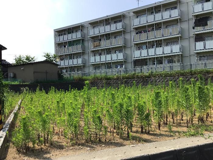  住所： 〒 925-0047 御坊山町
