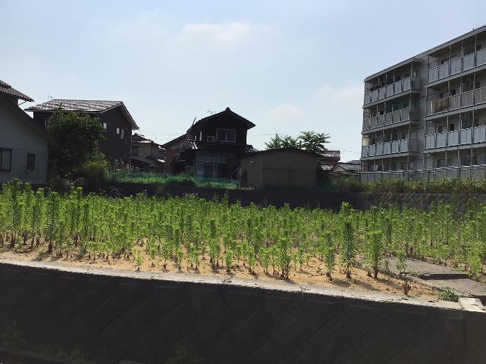  住所： 〒 925-0047 御坊山町