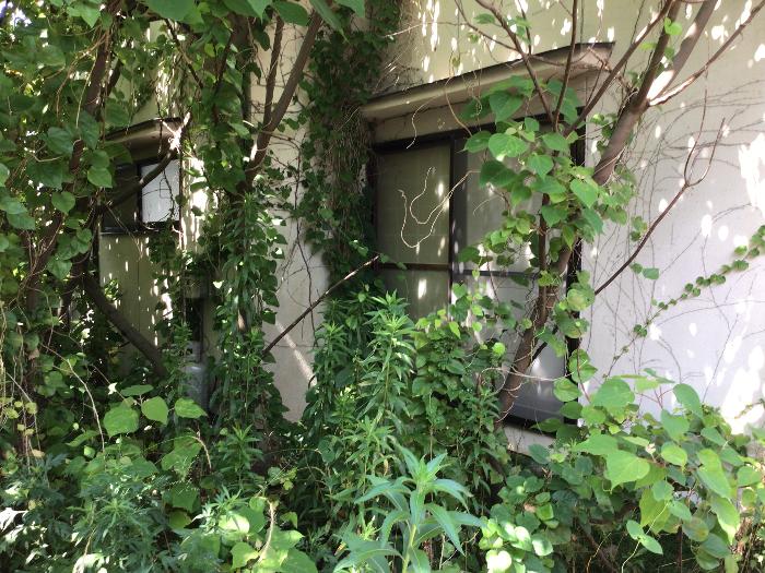 detached 住所： 〒 925-0015 大川町