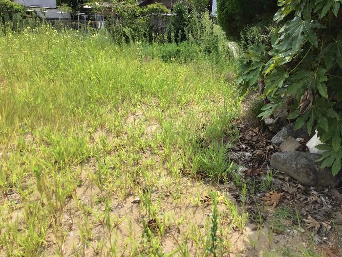  住所： 〒 925-0048 松ケ下町