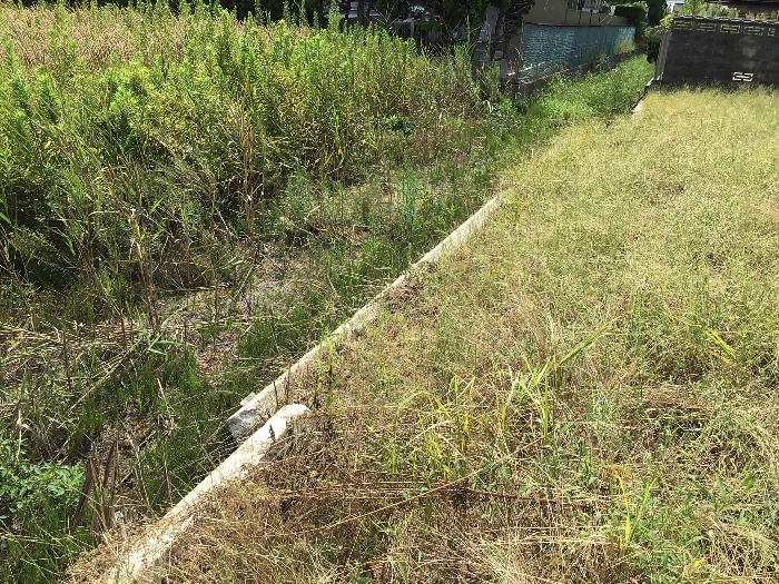  住所： 〒 925-0048 松ケ下町