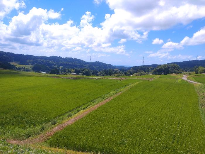  住所： 〒 925-0608 神子原町