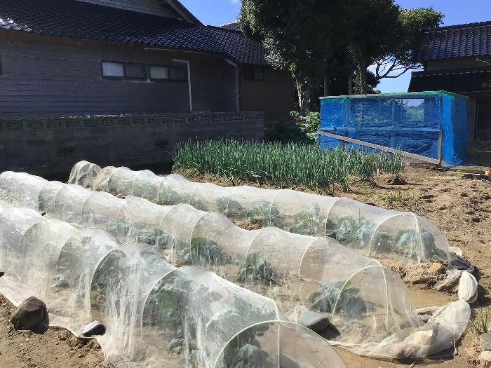 detached 住所： 〒 925-0001 柴垣町