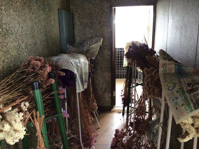 detached 住所： 〒 925-0034 旭町