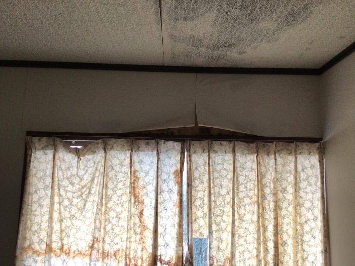 detached 住所： 〒 925-0074 酒井町