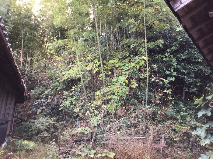 detached 住所： 〒 925-0074 酒井町