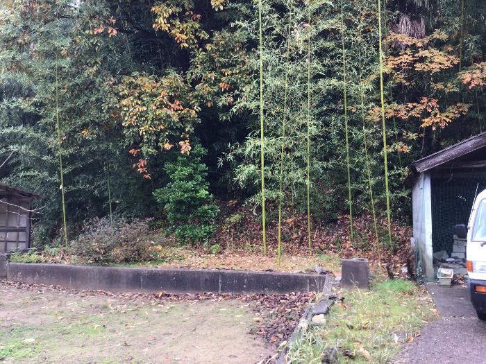 detached 住所： 〒 925-0044 新保町