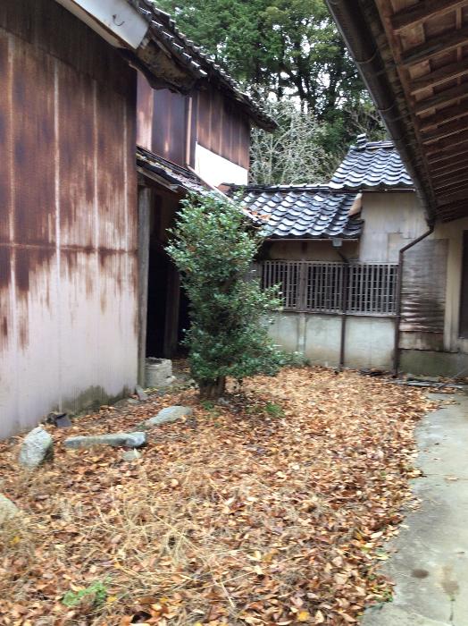 detached 住所： 〒 925-0045 粟生町
