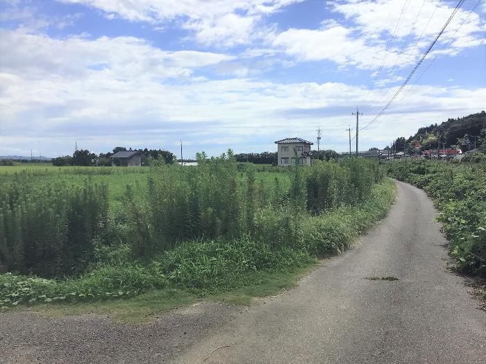 detached 住所： 〒 925-0076 鹿島路町